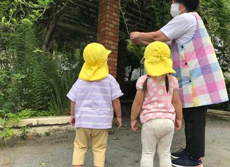 江戸川保育園 施設写真 9
